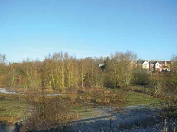 Biss Meadows Trowbridge